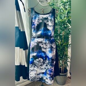 Lane Bryant Blue stamp dress